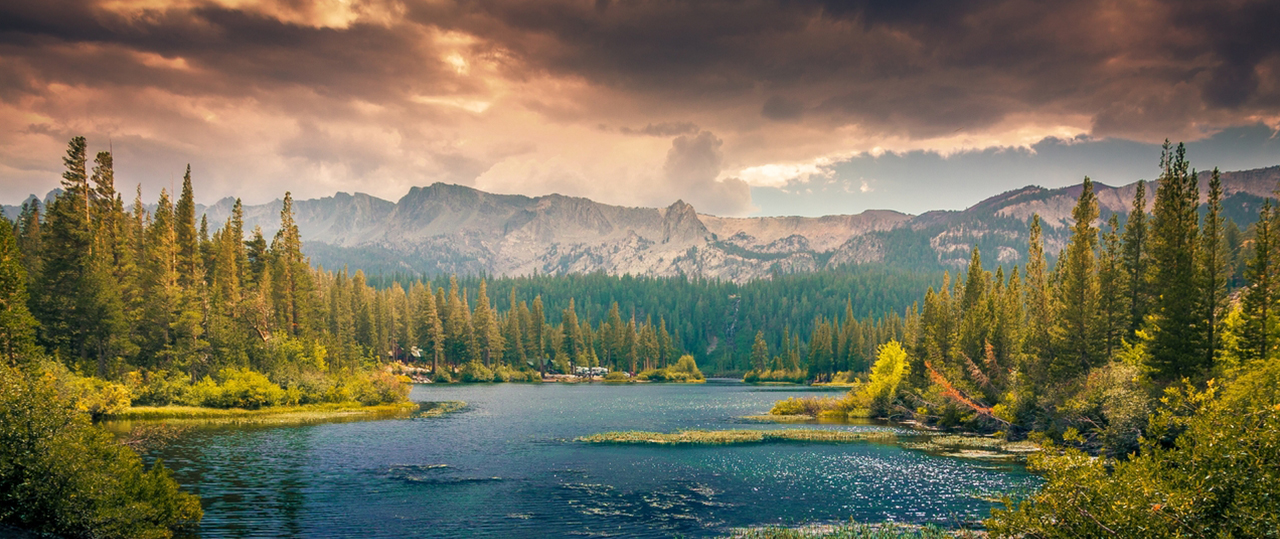 安卓短信轰炸机