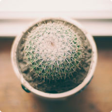 网页电话直接拨打