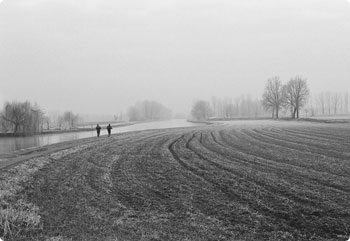 完整功能解锁的免费网络电话呼叫系统